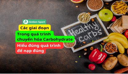 Chuyển hóa Carbohydrates: Hiểu đúng quá trình để nạp đúng