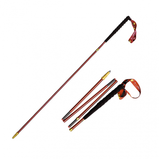 Gậy Chạy Trail Zenone Z1901VN