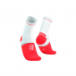Tất Thể Thao Compressport Pro Marathon Socks V2.0 Trắng