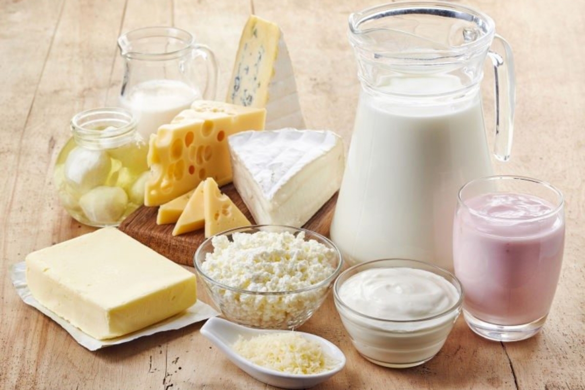 Khi tiêu hóa, enzyme lactase trong ruột non phân giải lactose thành glucose và galactose