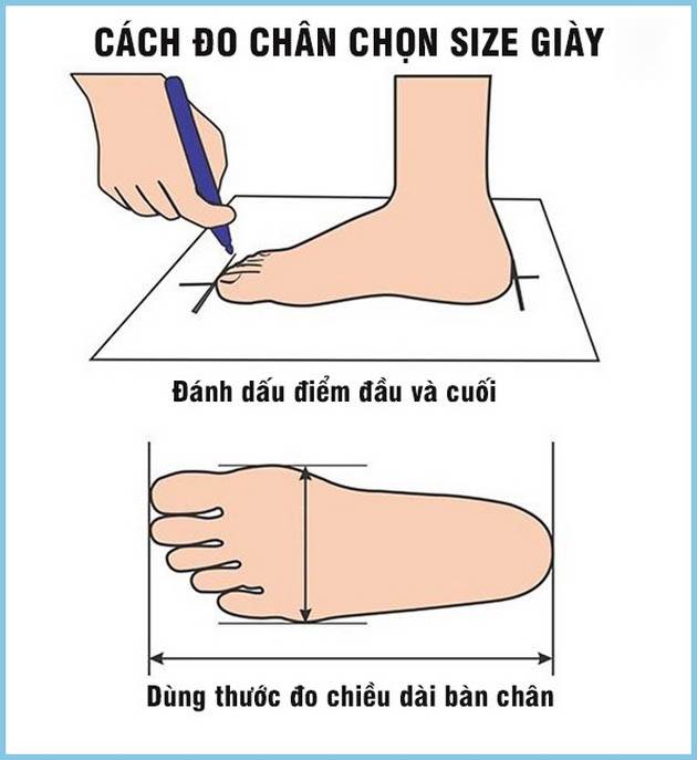 Cách đo chân chọn size giày đúng chuẩn