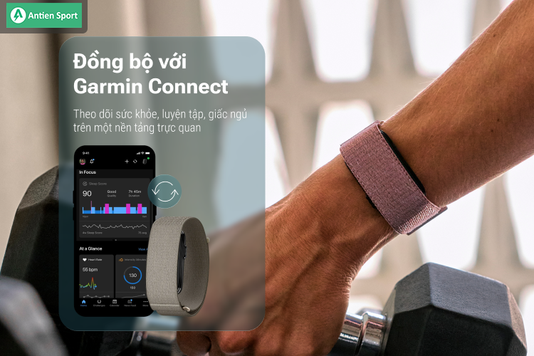 Các dữ liệu về sức khoẻ và thể chất được đồng bộ lên Garmin Conncet